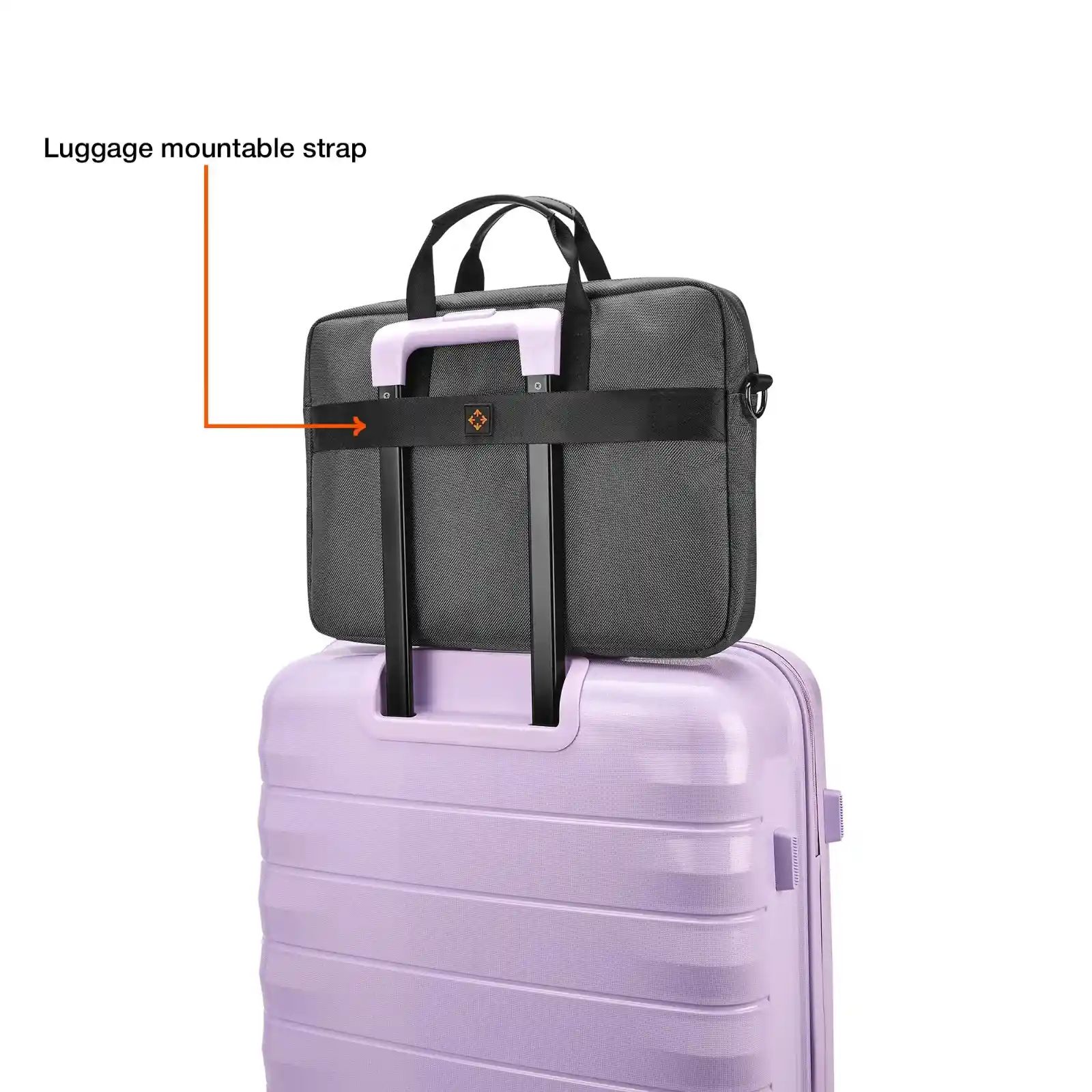 Lenox - Image 8